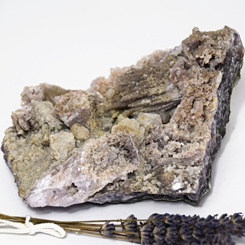 Ametystová růže 0,8 kg