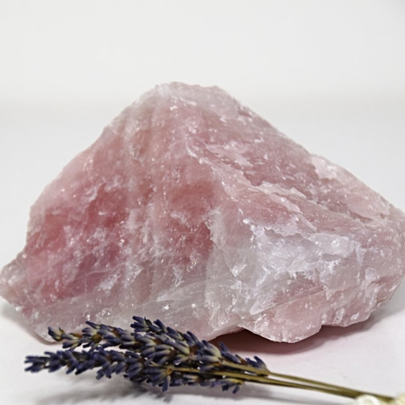 Růženín surový 0,92 kg