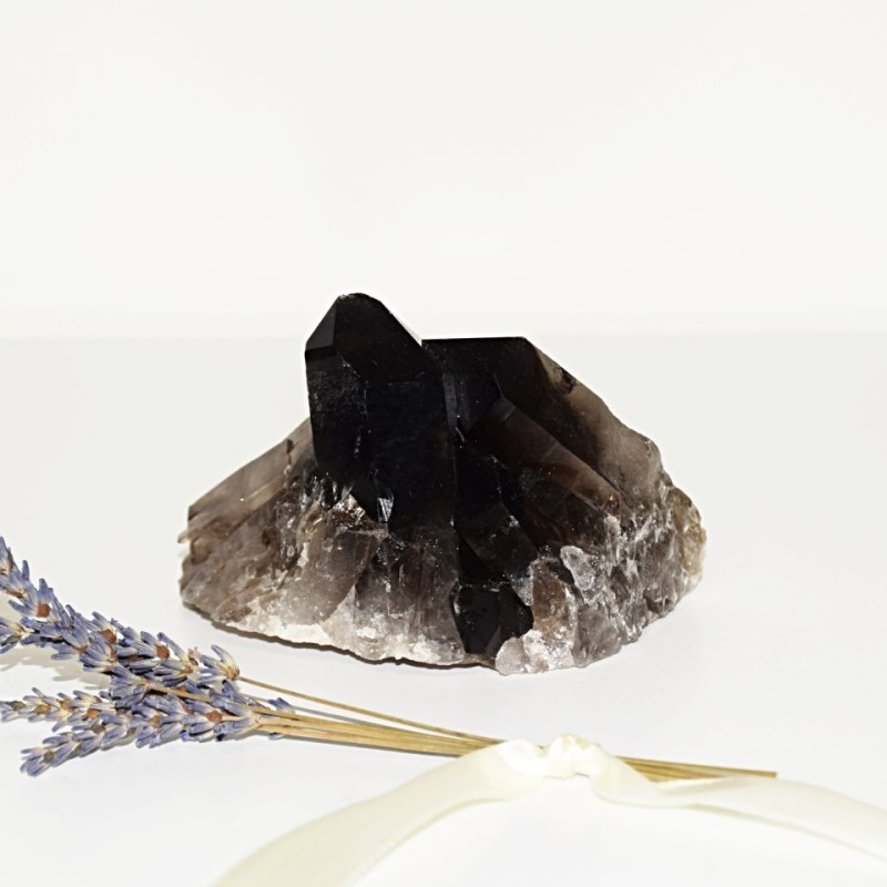 ZÁHNĚDA AA DRŮZA 0,44 KG