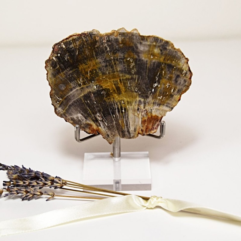 Zkamenělé dřevo - leštěný plátek 0,22 kg