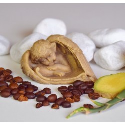 ANDĚL SPÍCÍ KÁVA SE ZÁZVOREM A MANDLÍ