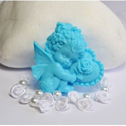 AMOREK HOLČIČKA ARKTICKÝ OCEÁN